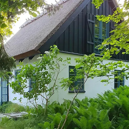 Colour Joy In Thatched House Of The North Coast Хуннестед