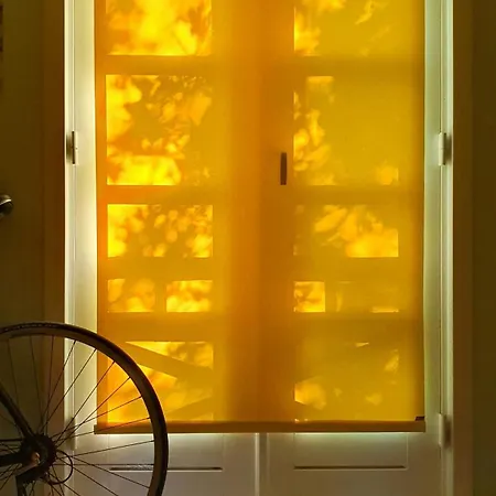 Colour Joy In Thatched House Of The North Coast