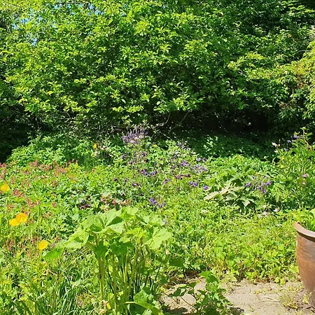 Дом отдыха Colour Joy In Thatched House Of The North Coast *